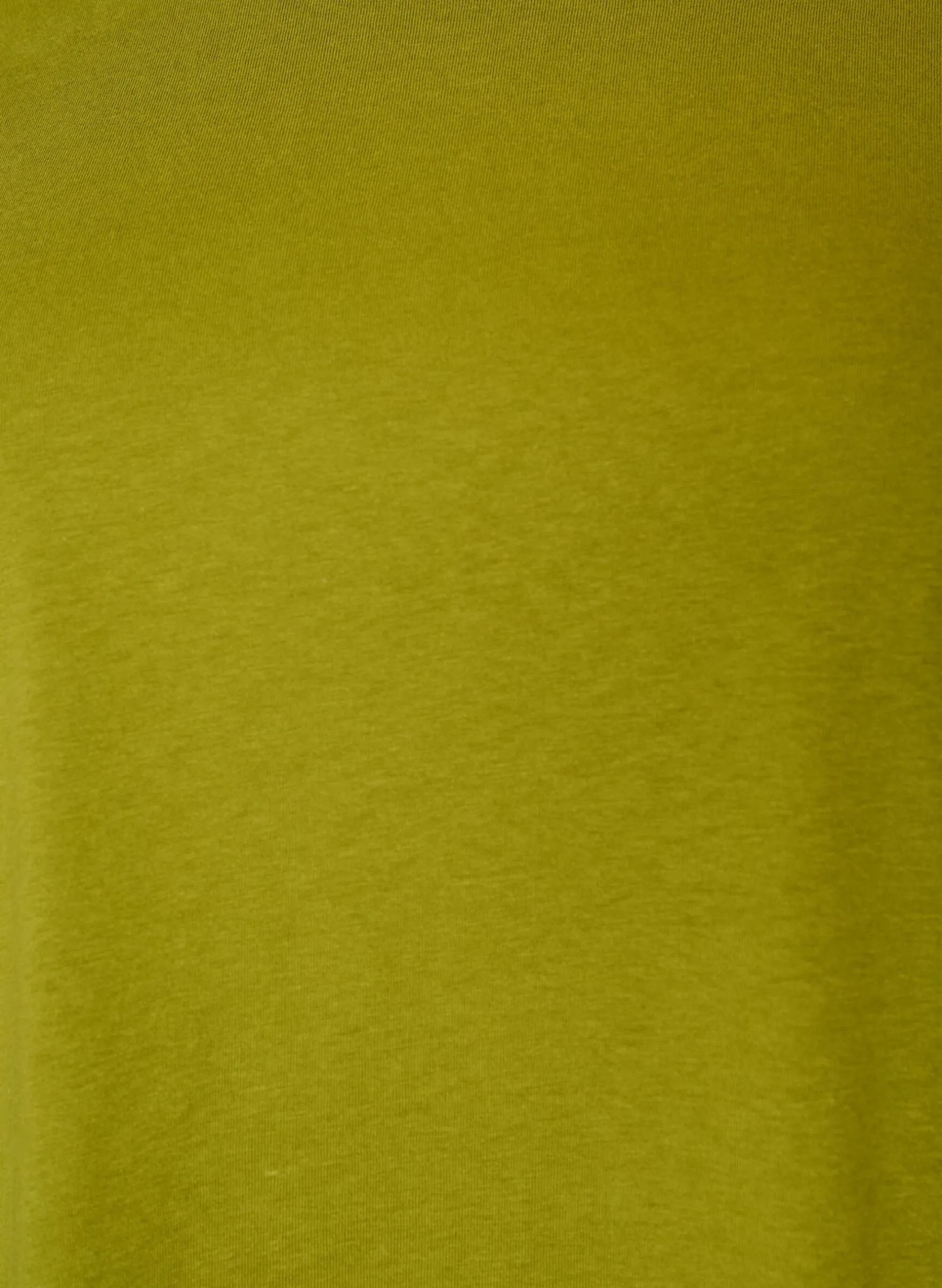 Basic T-Shirt aus Baumwolle mit Rundhalsausschnitt