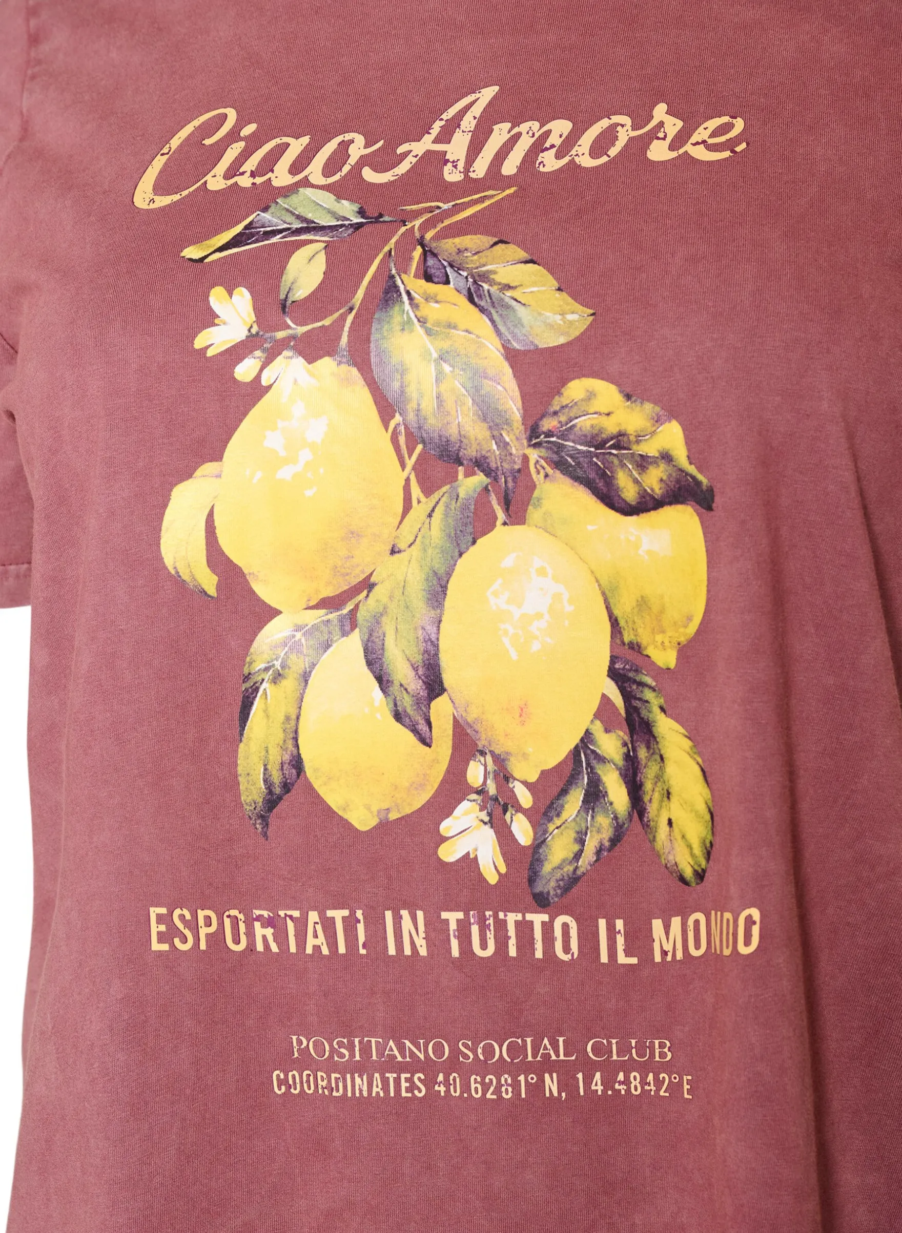 Baumwoll-T-Shirt mit Frontprint und gewaschener Optik