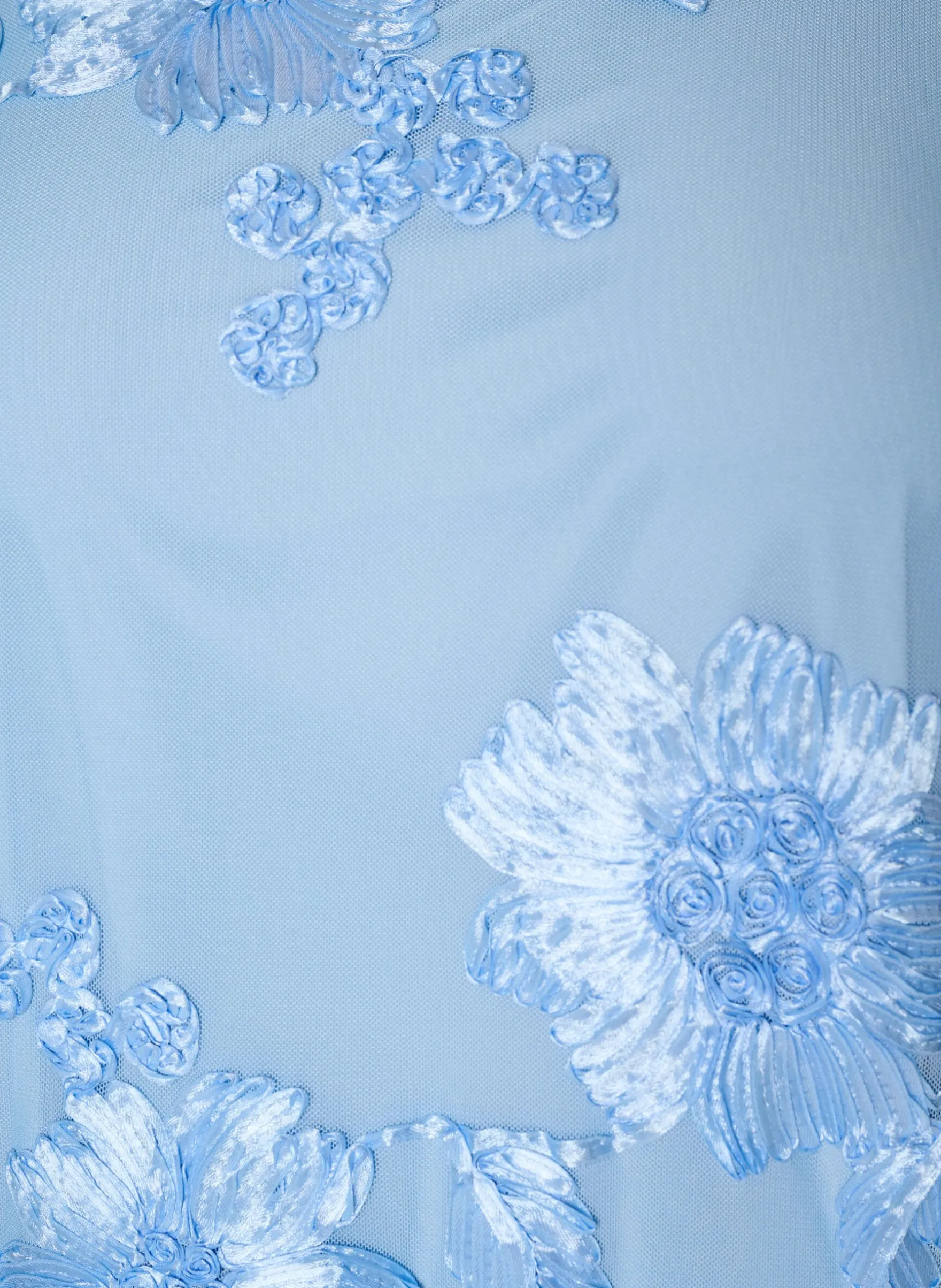 Mesh-Kleid mit floralen Applikationen