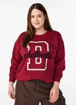 Sweatshirt mit Frottee-Schriftzug