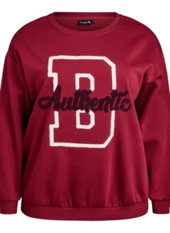 Sweatshirt mit Frottee-Schriftzug